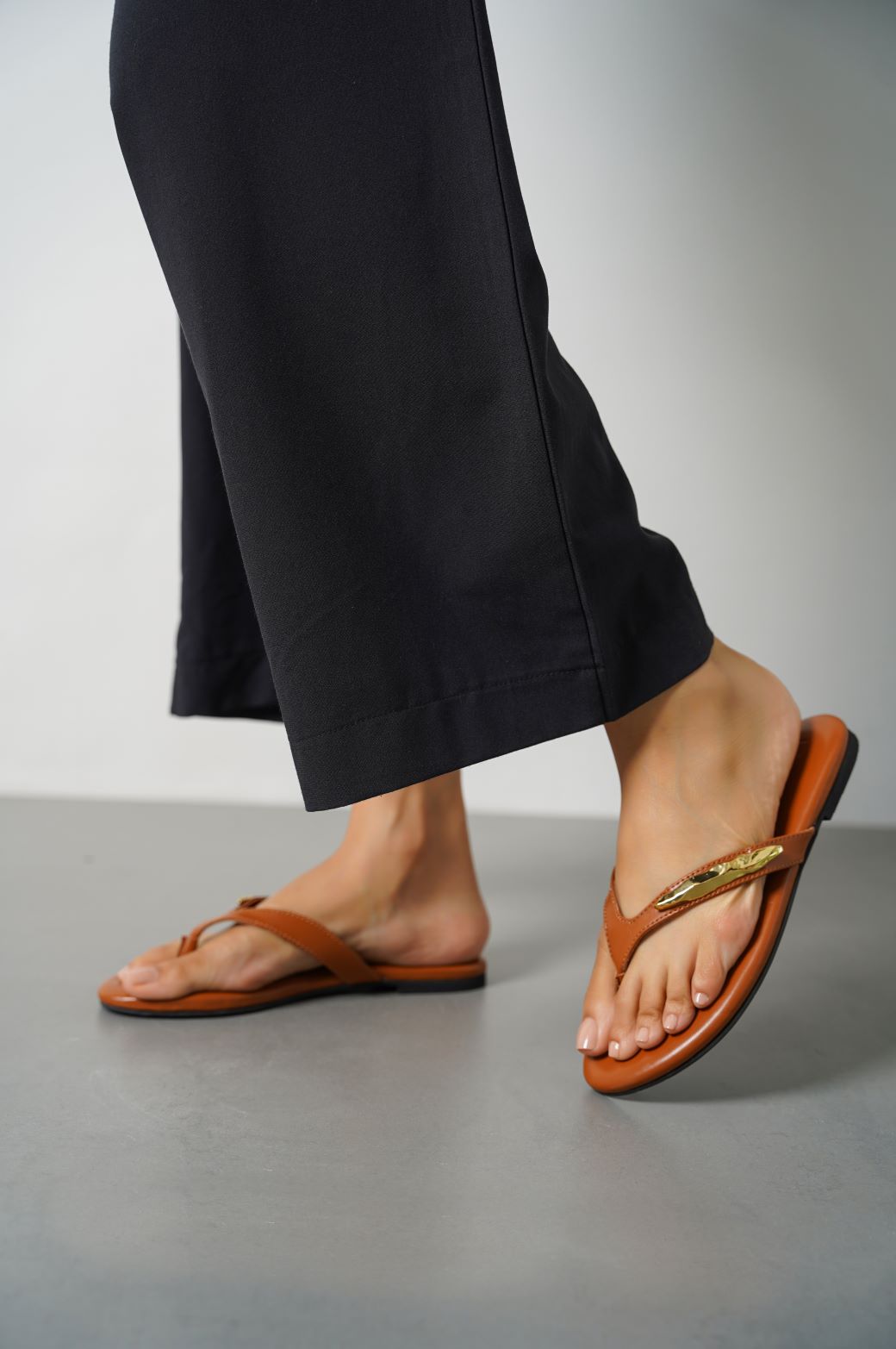 TAN TARO SLIDES