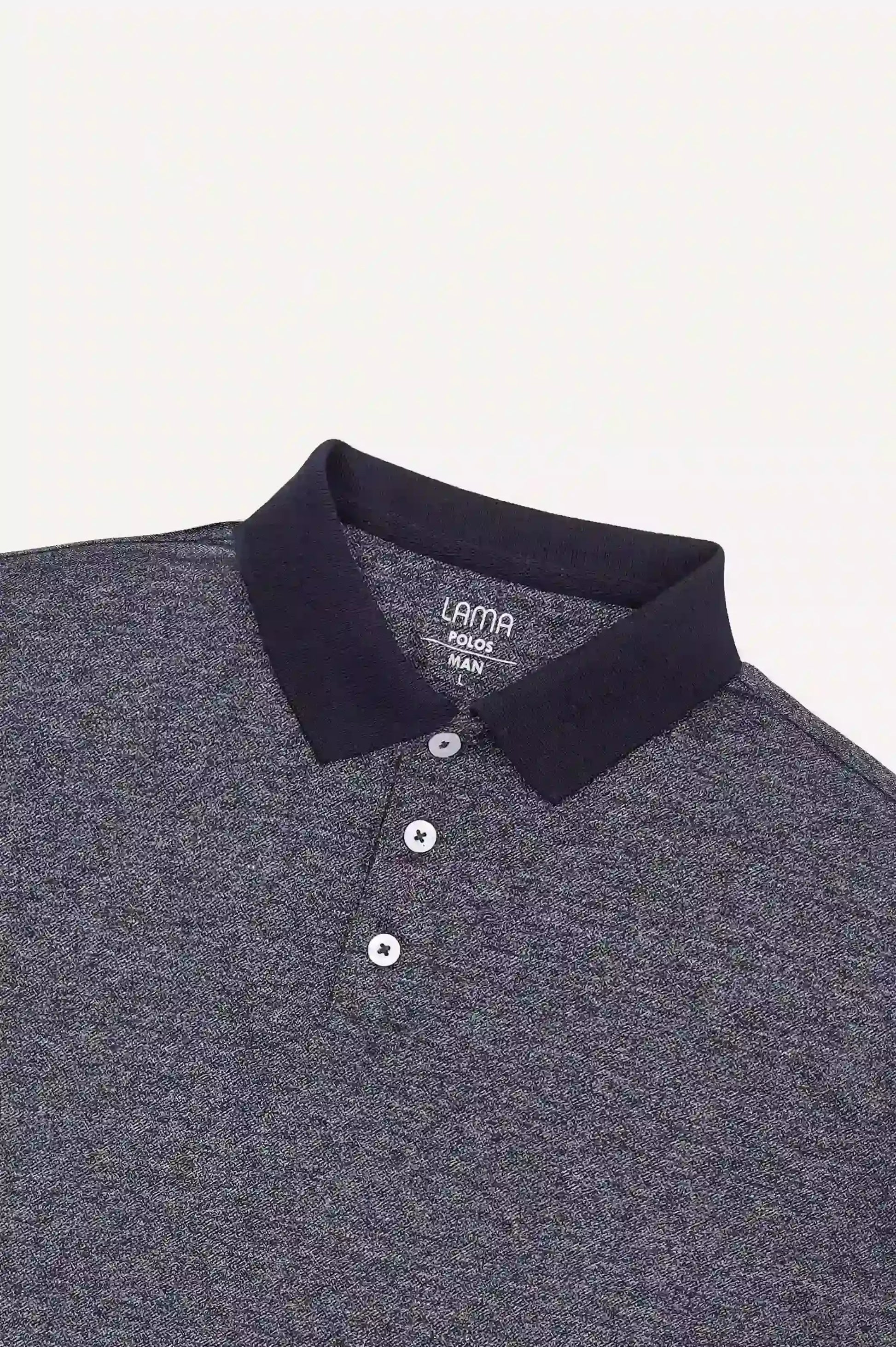 Blue Men Polo Shirt
