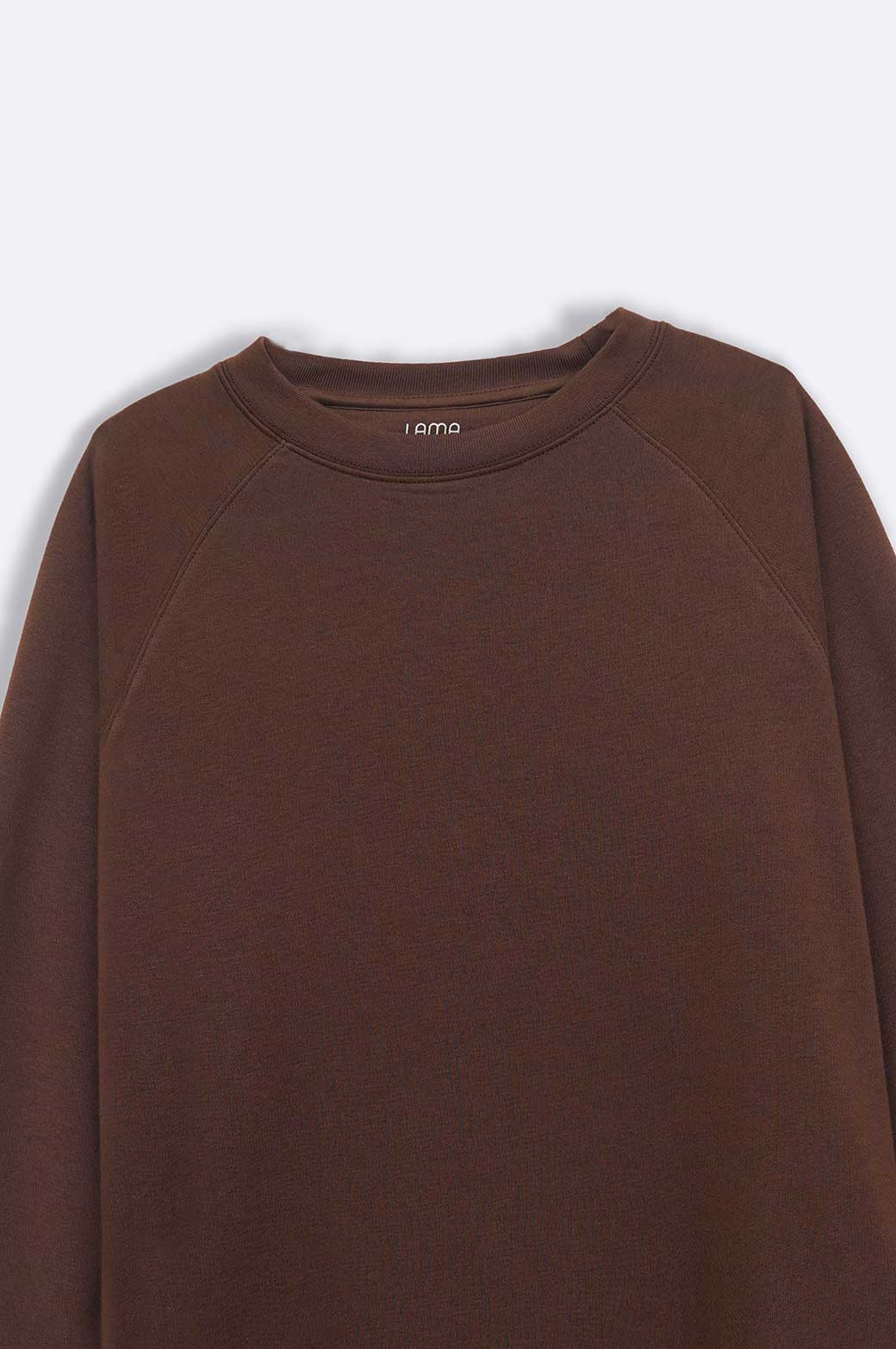 BROWN EVERYDAY RAGLAN SWEATSHIRT