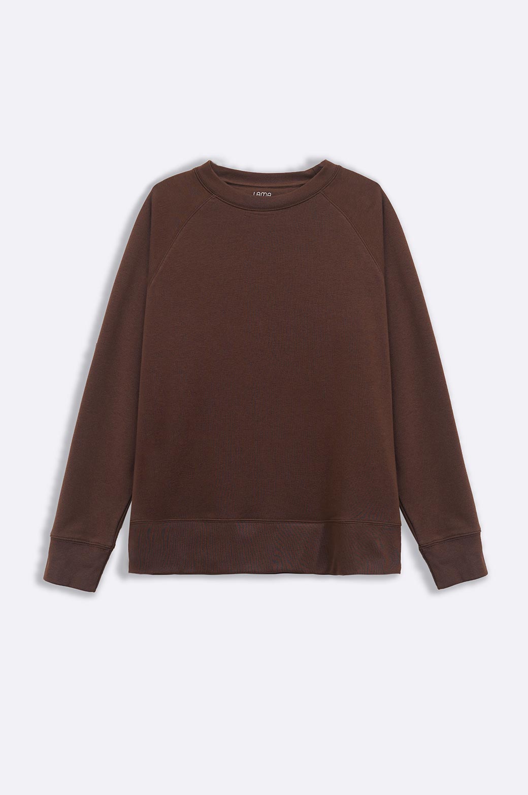 BROWN EVERYDAY RAGLAN SWEATSHIRT