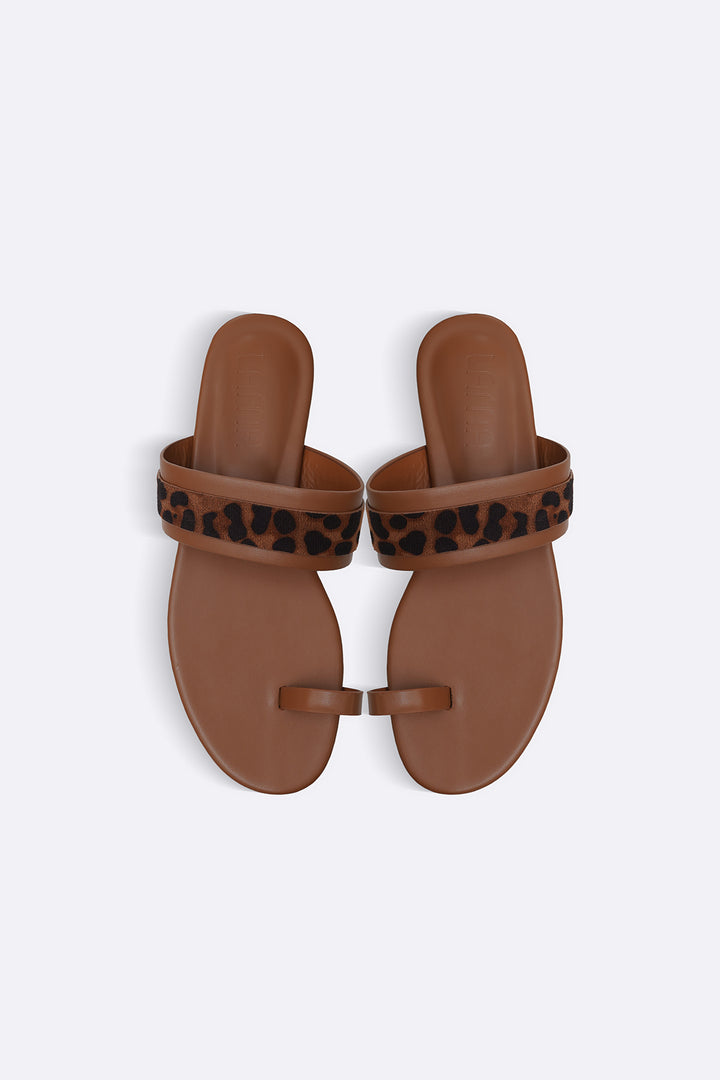 BROWN SUMMER ANIMAL SLIDES