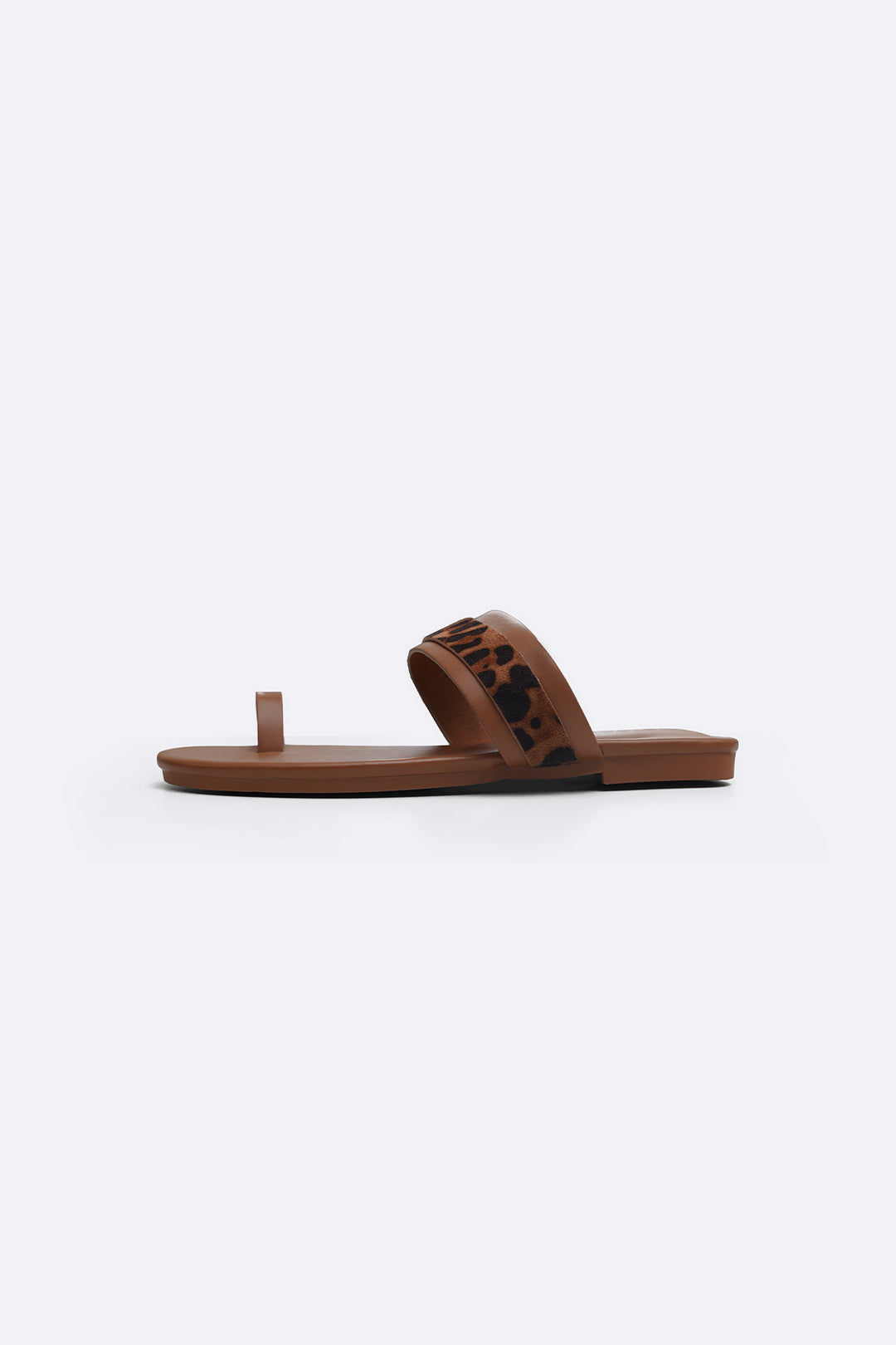 SUMMER ANIMAL SLIDES