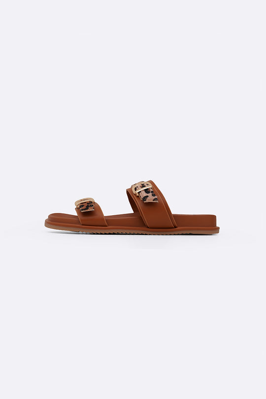 BROWN ALL DAY ANIMAL SLIDES
