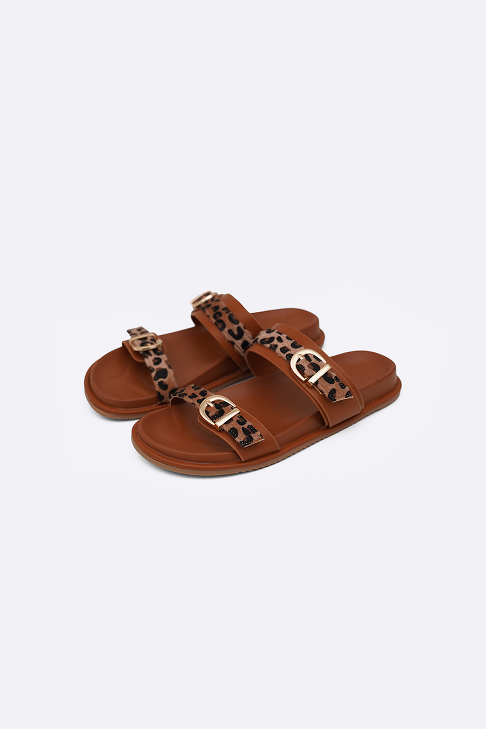 BROWN ALL DAY ANIMAL SLIDES