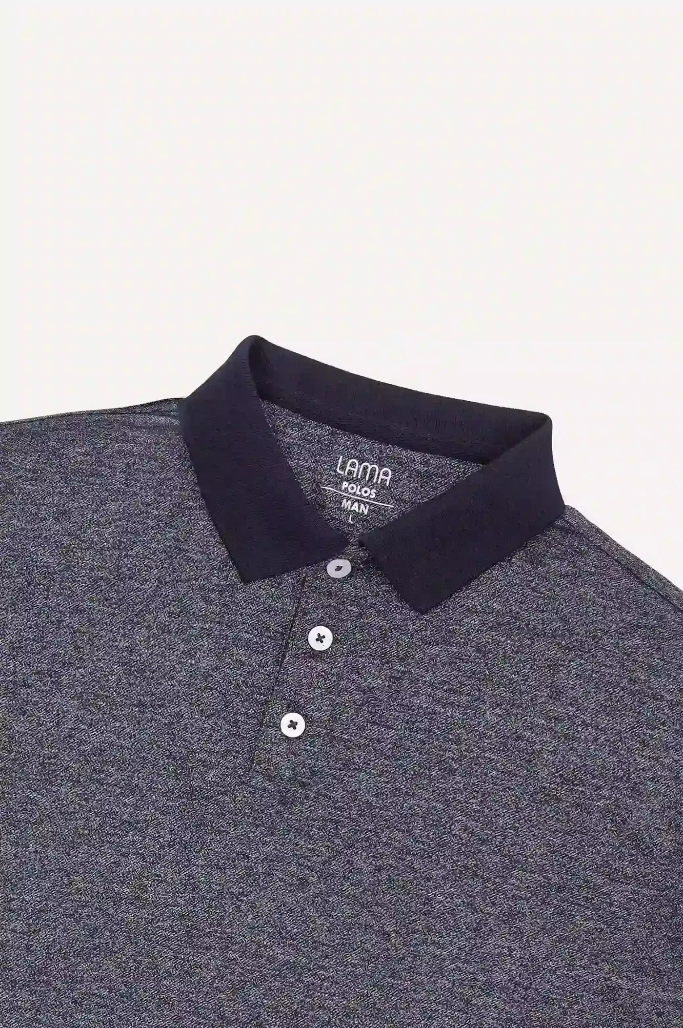 Blue Men Polo Shirt