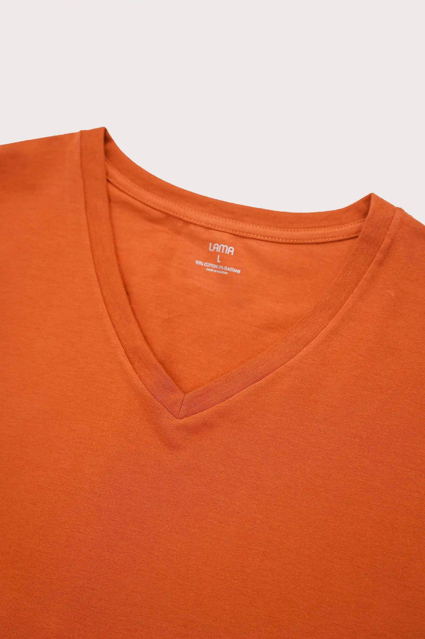 Rust V Neck T-Shirt